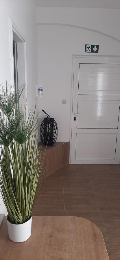 Villa Rajski Dvor 1 Bol Bagian luar foto