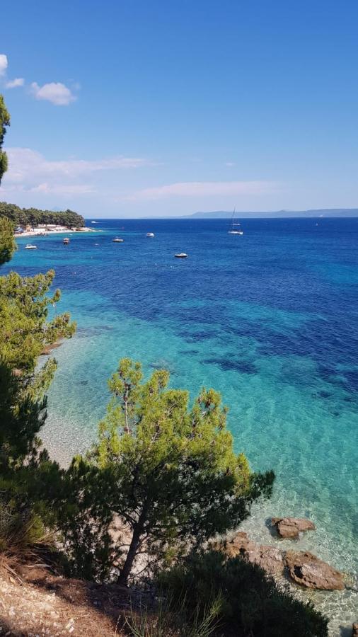 Villa Rajski Dvor 1 Bol Bagian luar foto
